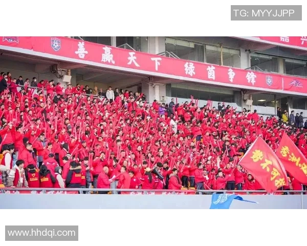 足球球迷泪洒赛场背后的故事与情感共鸣