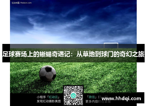 足球赛场上的蜥蜴奇遇记：从草地到球门的奇幻之旅